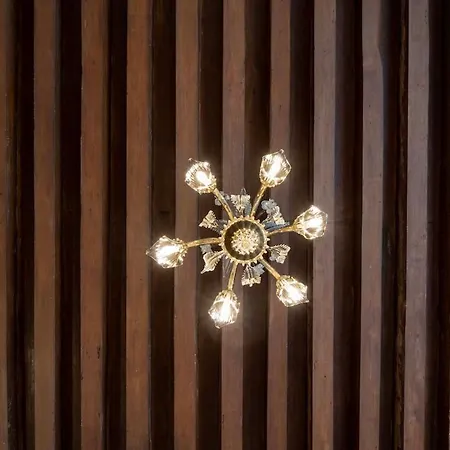 Domus Ternita * Benátky